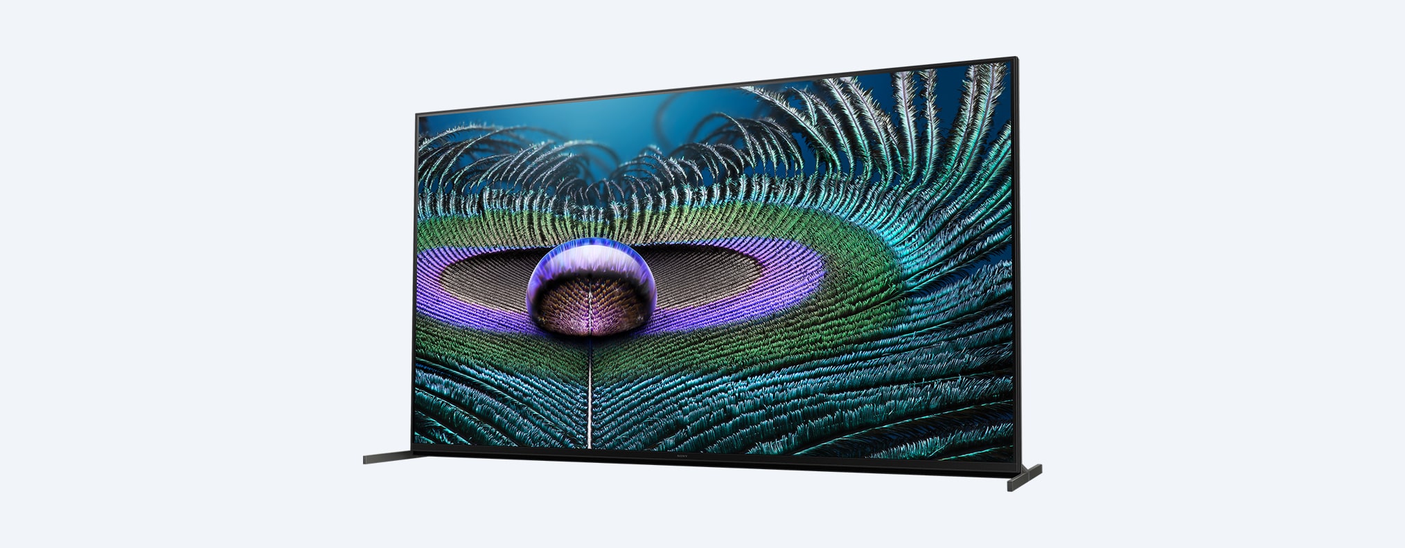 Z9J | BRAVIA XR | MASTER Series| Full Array LED | 8K |טווח דינמי גבוה (HDR) | טלוויזיה חכמה (Google TV)