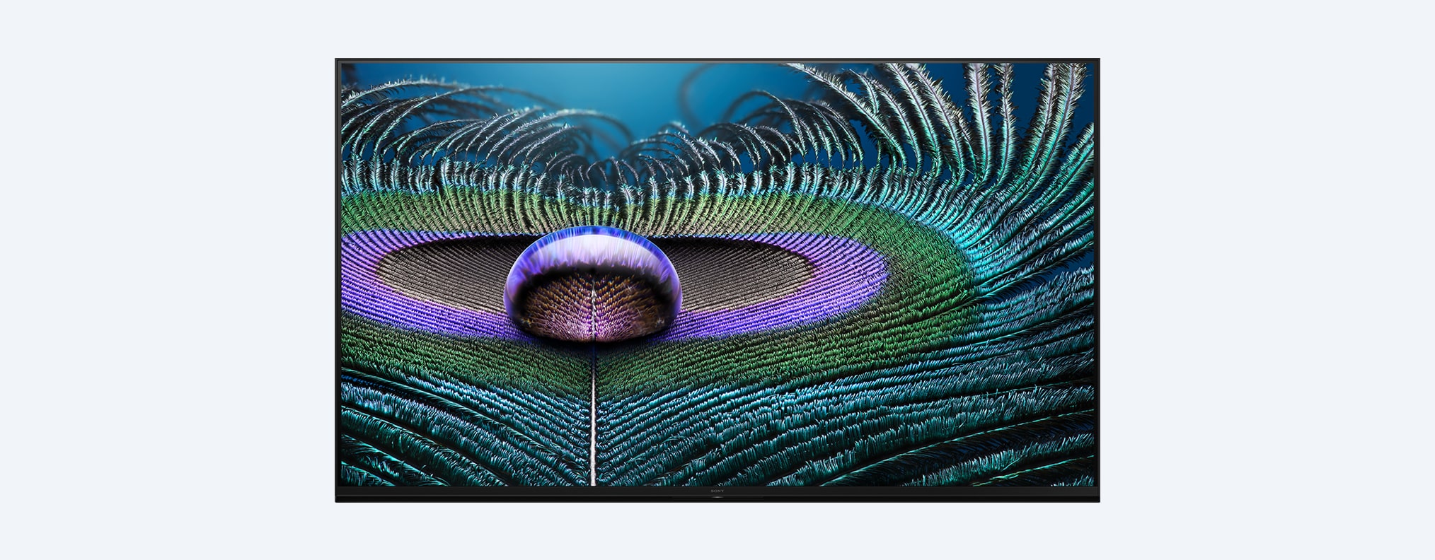 Z9J | BRAVIA XR | MASTER Series| Full Array LED | 8K |טווח דינמי גבוה (HDR) | טלוויזיה חכמה (Google TV)