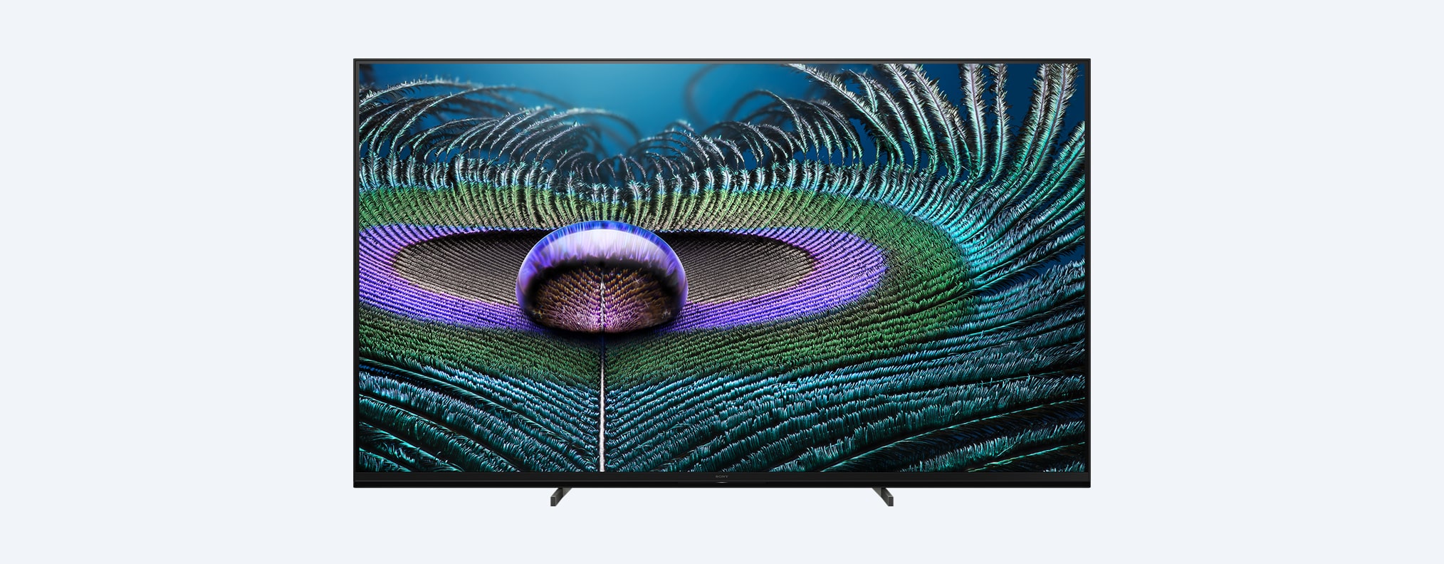Z9J | BRAVIA XR | MASTER Series| Full Array LED | 8K |טווח דינמי גבוה (HDR) | טלוויזיה חכמה (Google TV)