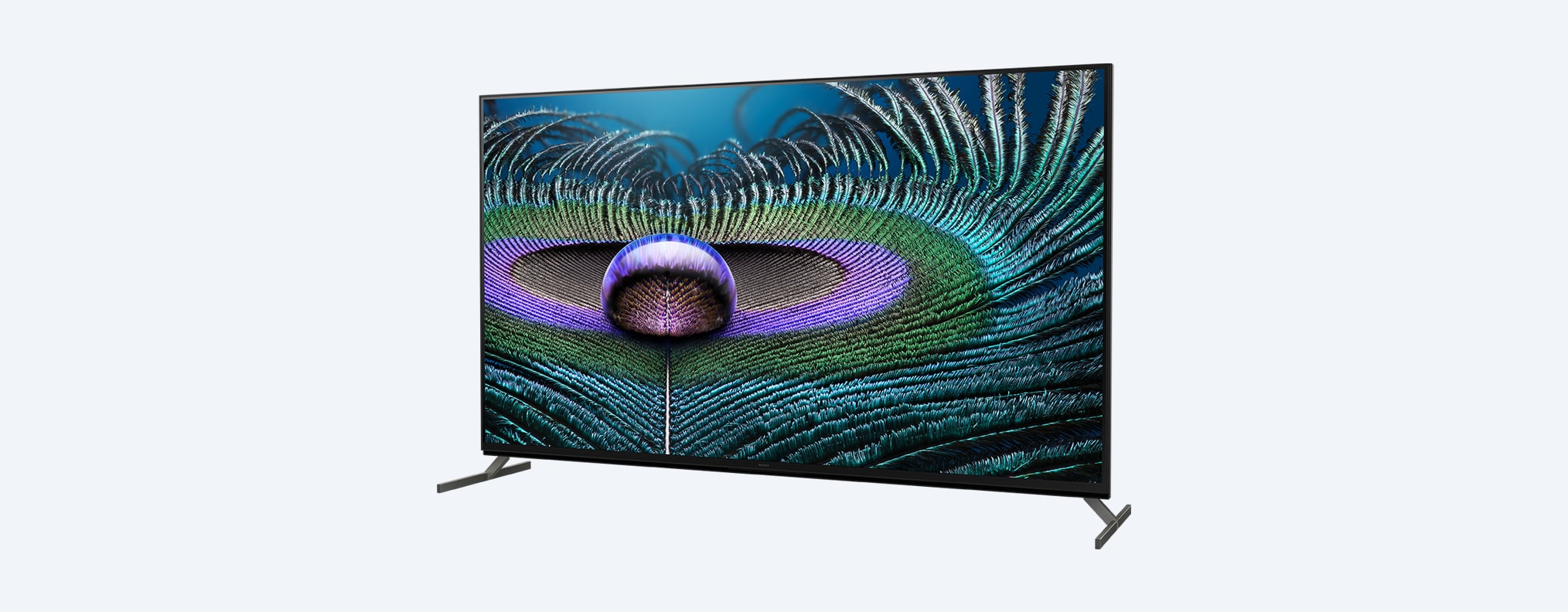 Z9J | BRAVIA XR | MASTER Series| Full Array LED | 8K |טווח דינמי גבוה (HDR) | טלוויזיה חכמה (Google TV)